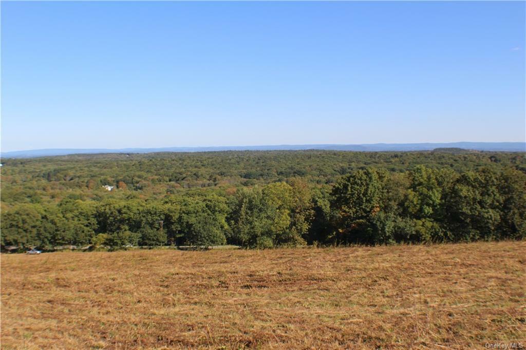 Property Photo:  1095 Mountain Road  NY 12771 