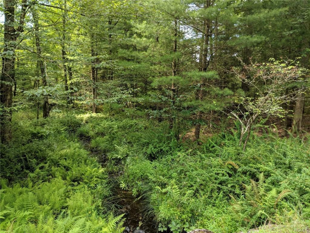 Property Photo:  Geba Drive  NY 12737 