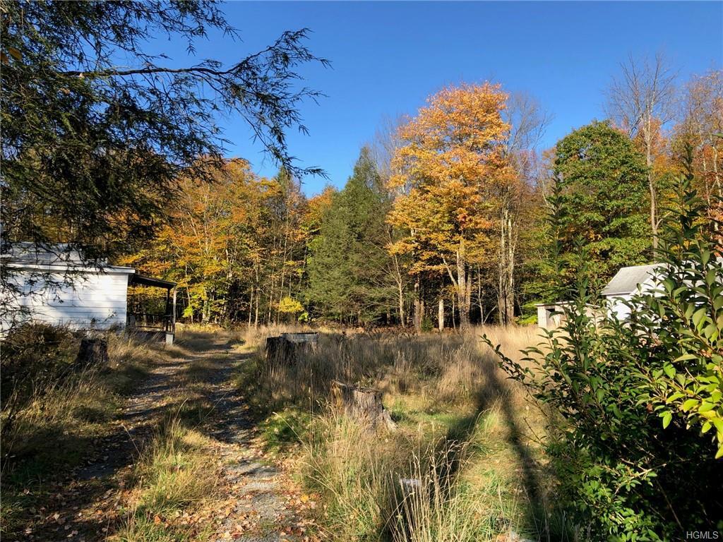 19 And 21 Southwoods Drive  Monticello NY 12701 photo