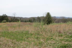 Property Photo:  258 Brown Rd  TN 37829 