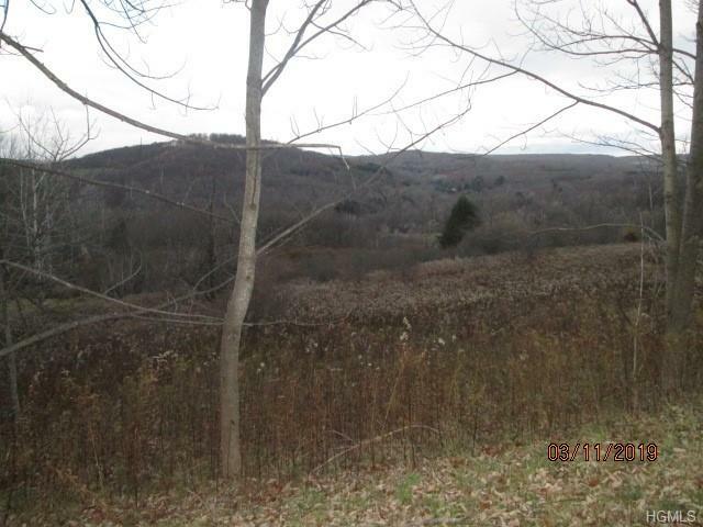 Property Photo:  East Hill Road  NY 12748 