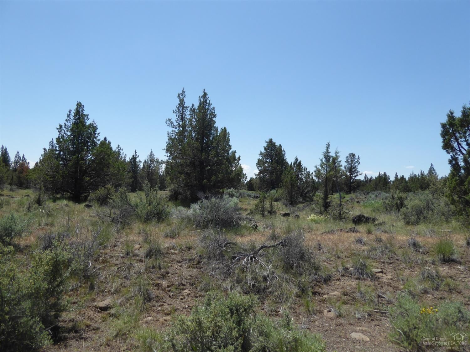 Property Photo:  9319 SW Graham  OR 97734 