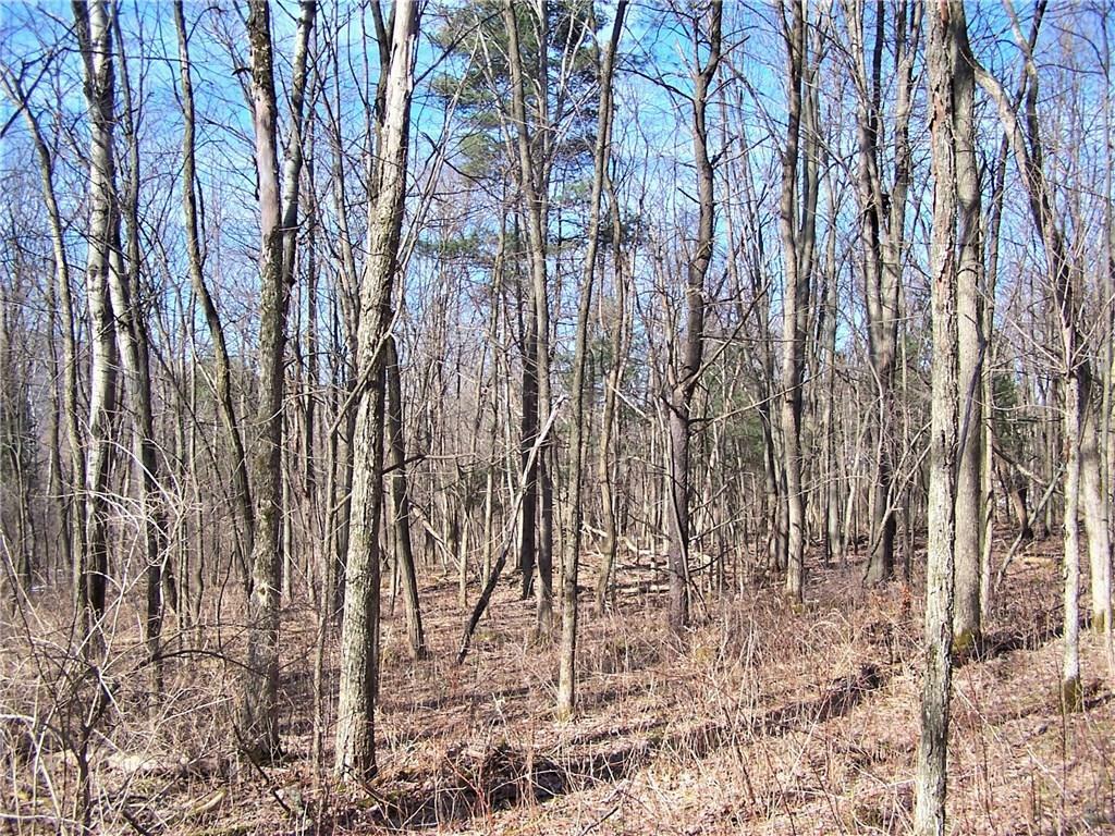 Property Photo:  0 County Road 6  NY 14805 