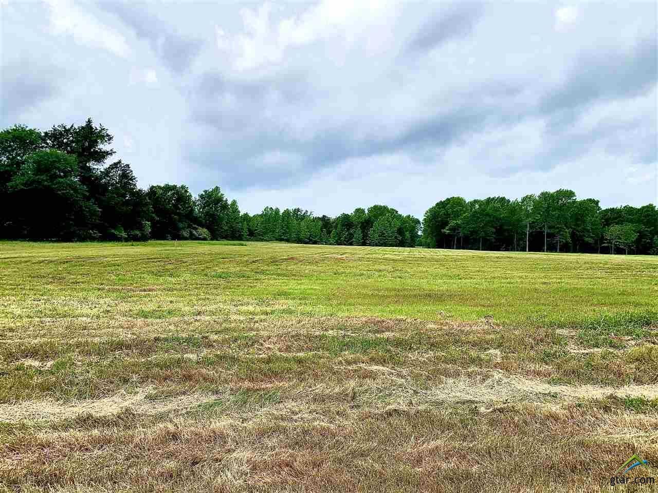 Property Photo:  21648 Cr 431  TX 75771 