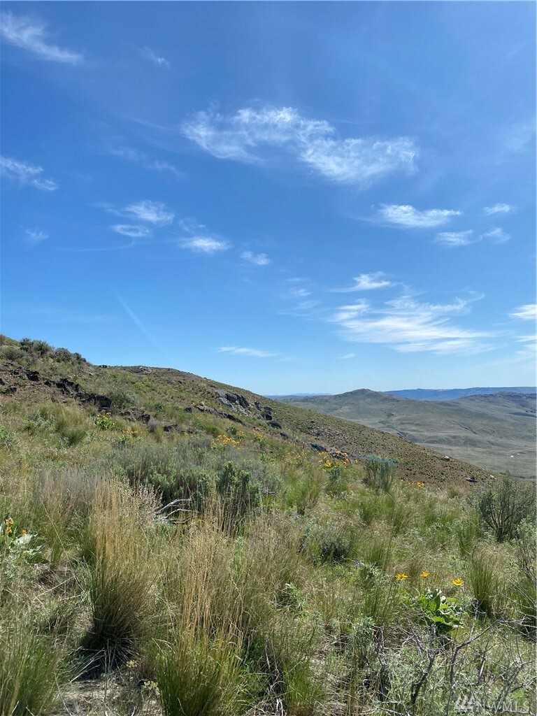 Property Photo:  Lot 52 Lariat Lp  WA 98834 