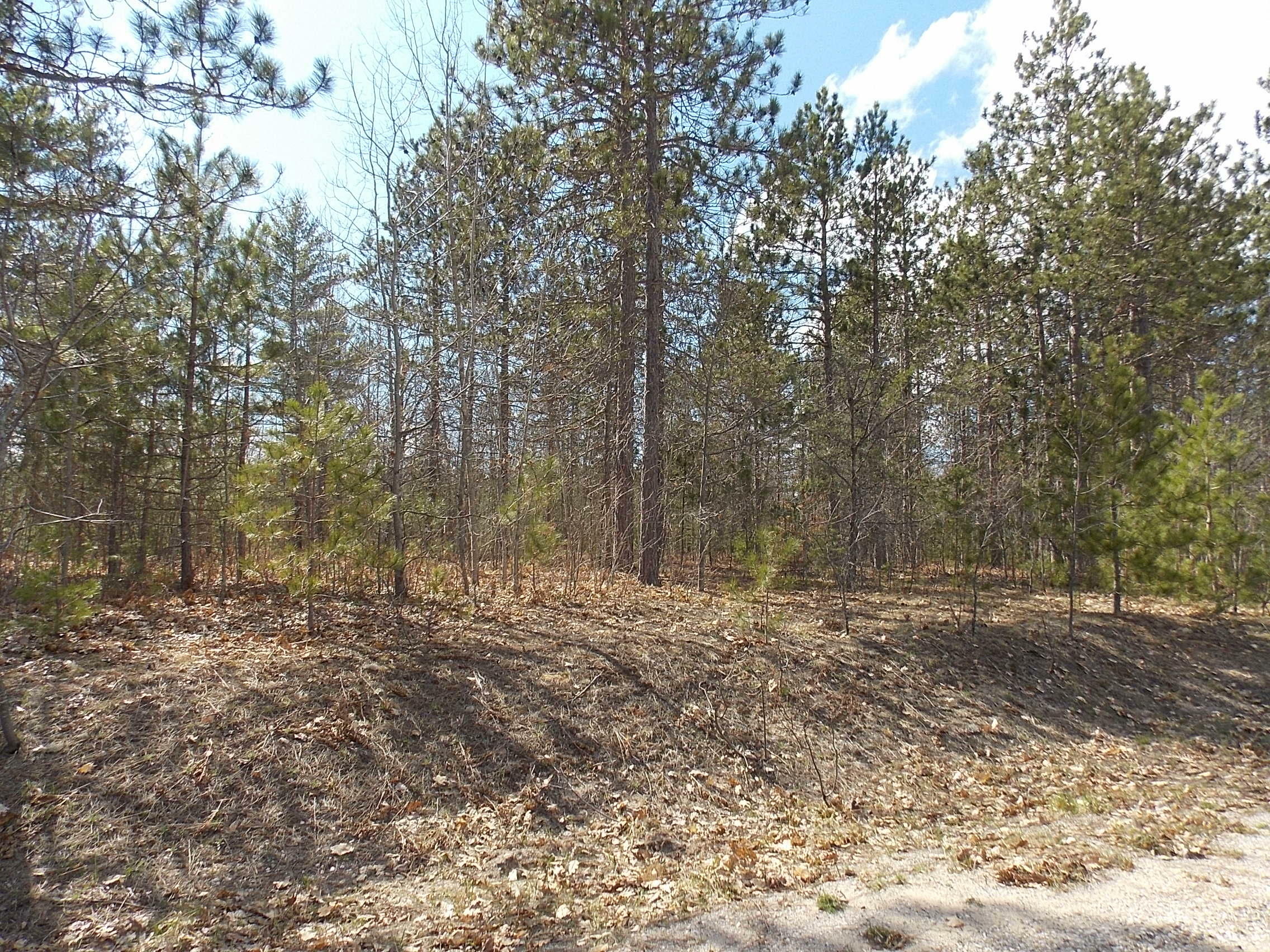 Property Photo:  Ridge Run Road Lot 2  MI 49721 