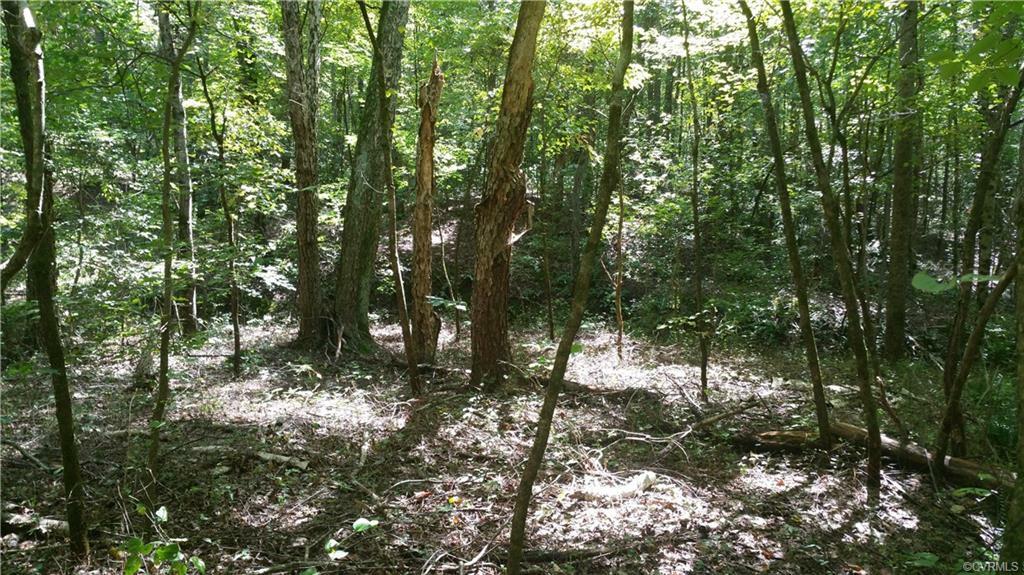 2.59 Acres Bent Creek Road  Amelia VA 23002 photo