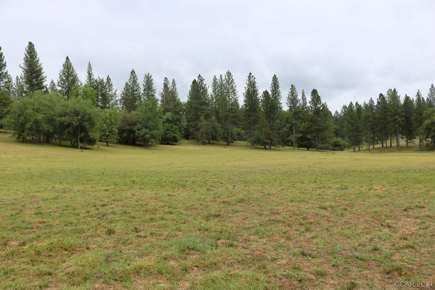 Property Photo:  8954 Swiss Ranch Road  CA 95246 