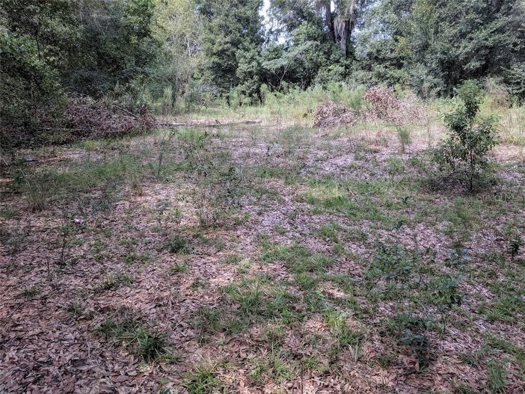 Property Photo: County Road 42 FL 32767