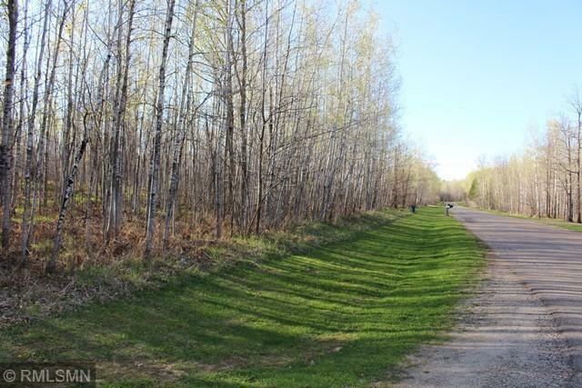 Property Photo: Tbd Lot 2 Aspen Drive MN 55744