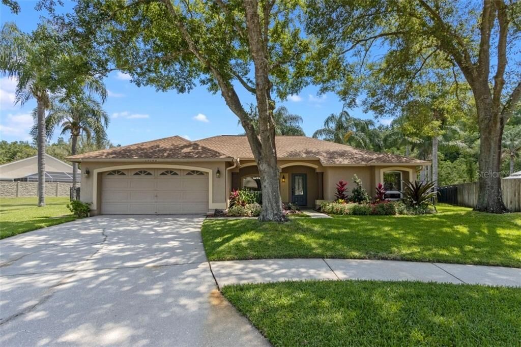 Property Photo:  15102 Bald Eagle Street  FL 33625 