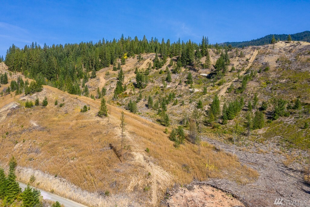 Property Photo:  0 Dry Creek Rd Lot 7  WA 98826 