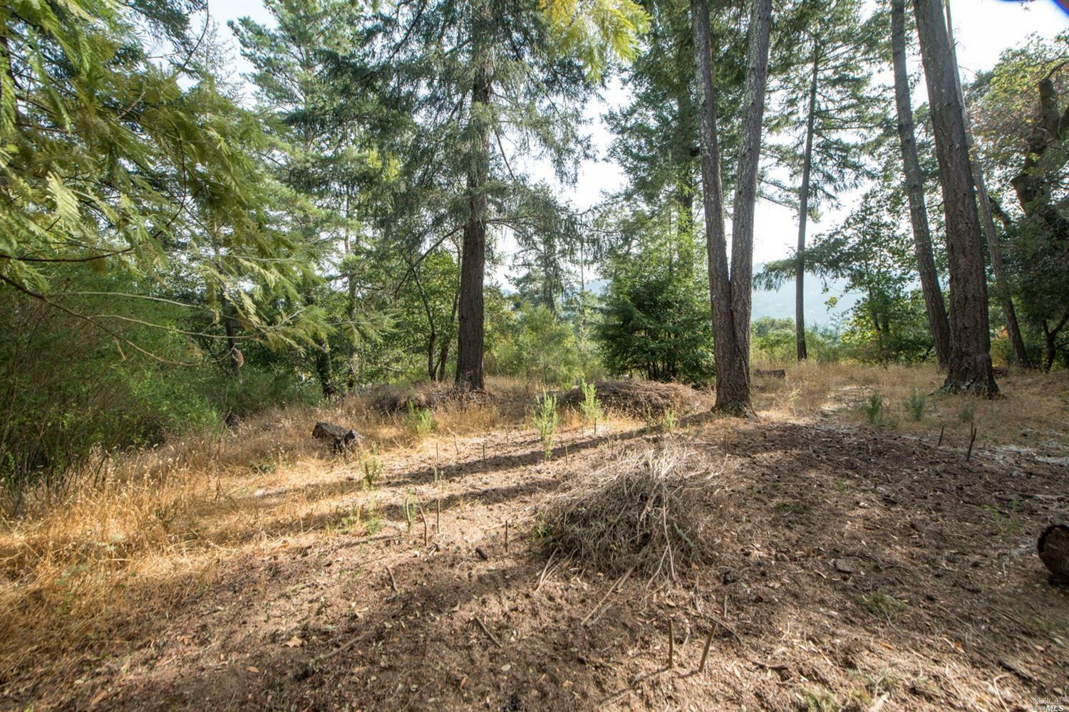 Property Photo:  2 Maple Road  CA 94973 