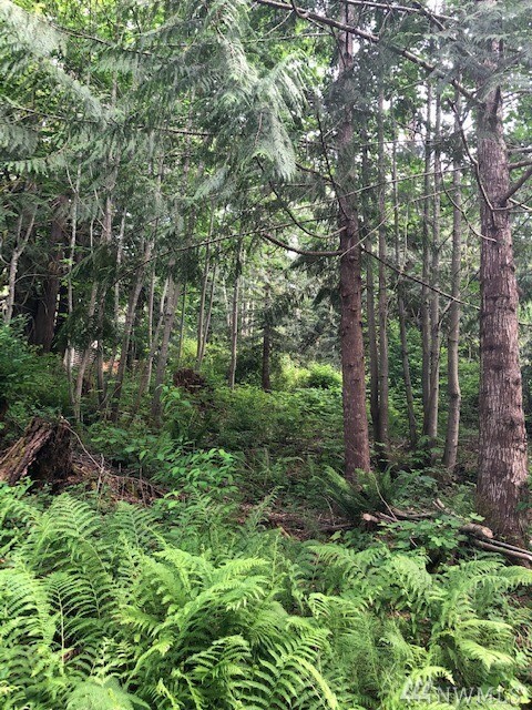Property Photo: 140 E Forest Ave WA 98528