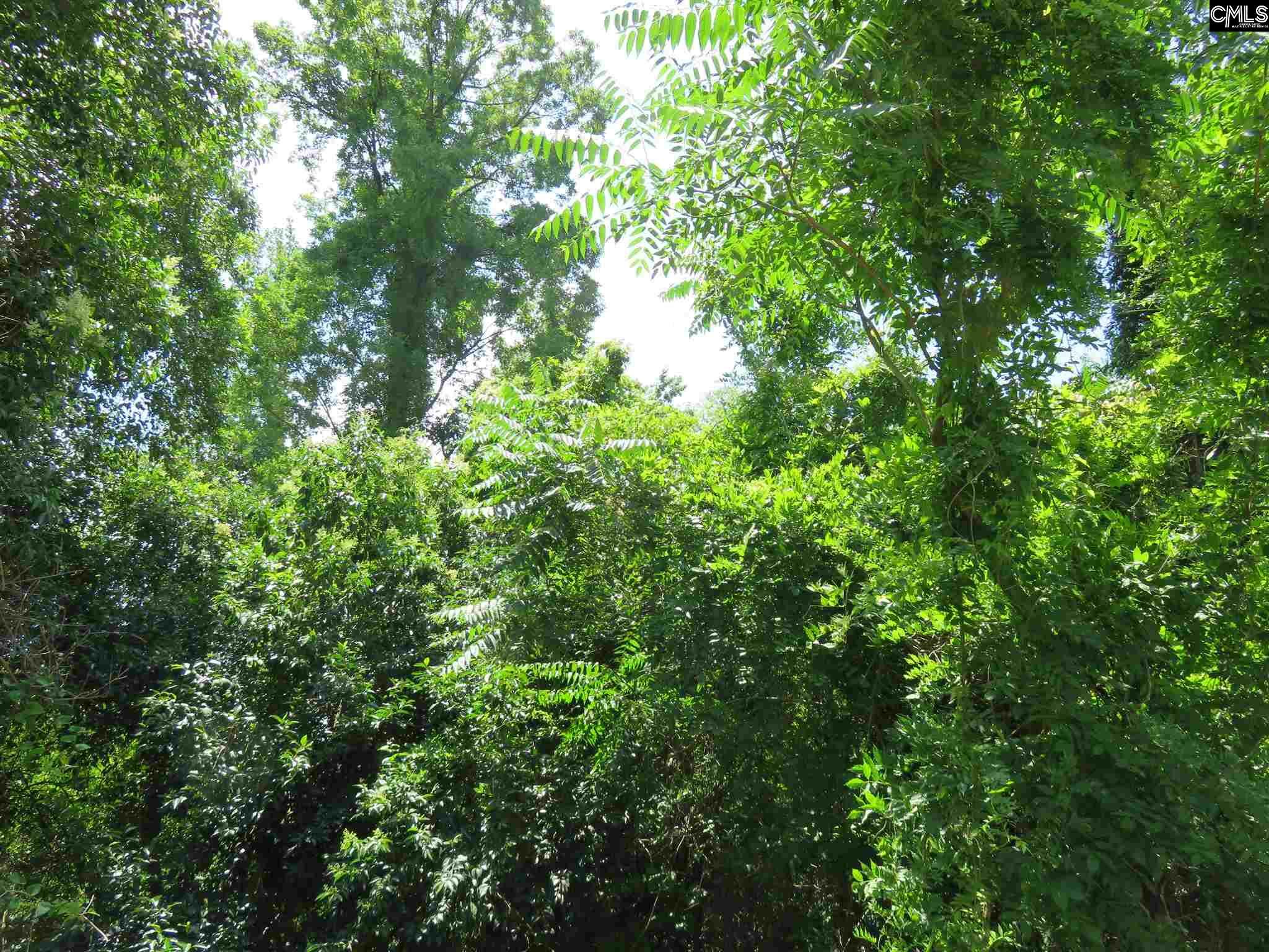 Property Photo:  Lot 5 Slann 1  SC 29033 