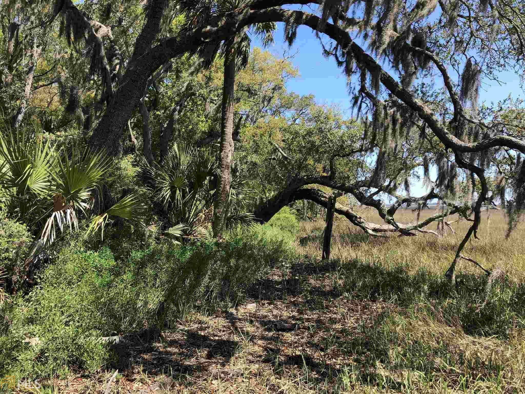 103 White Caps Way  St. Marys GA 31558 photo