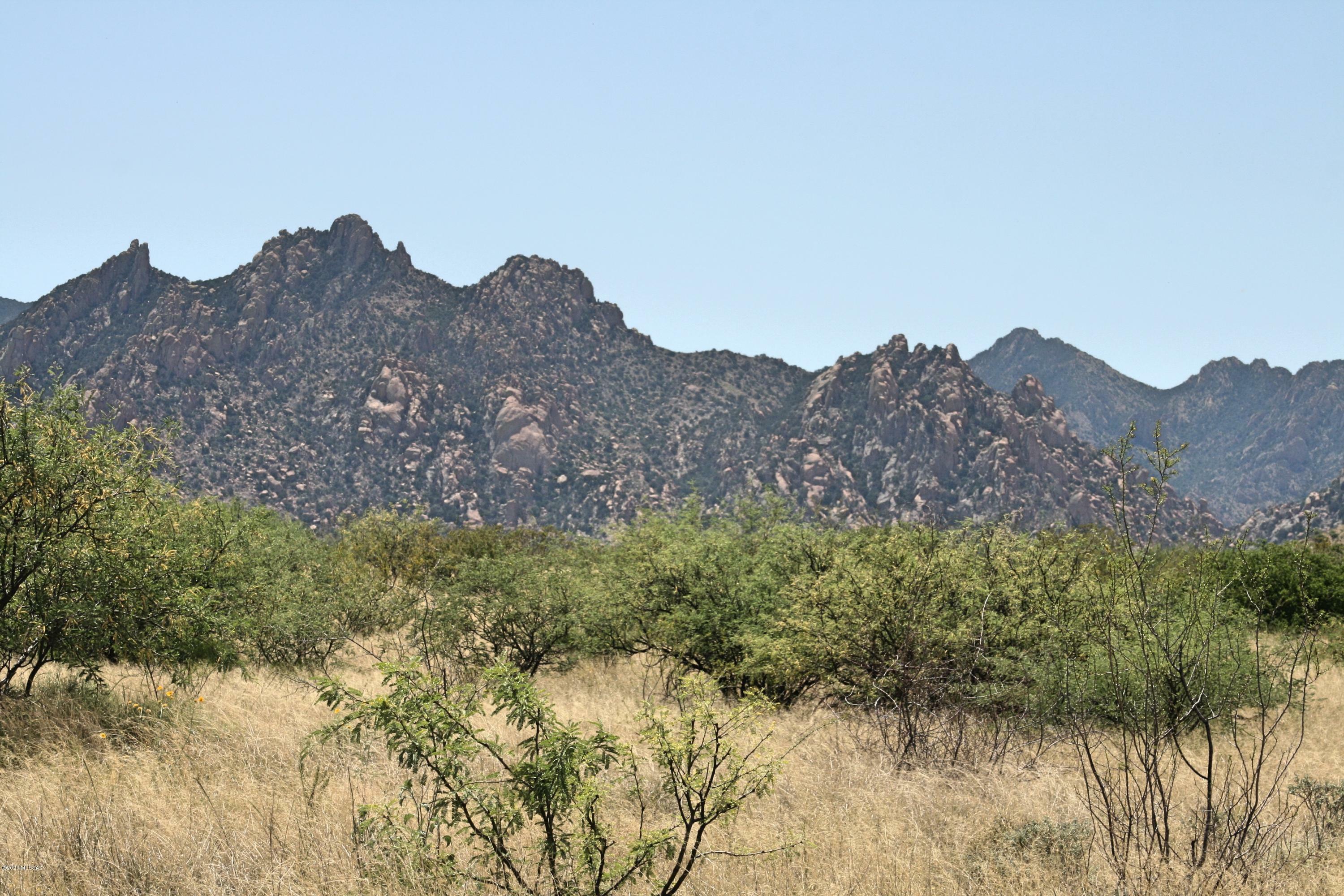 Property Photo:  141 Diamondback Road 141  AZ 85630 