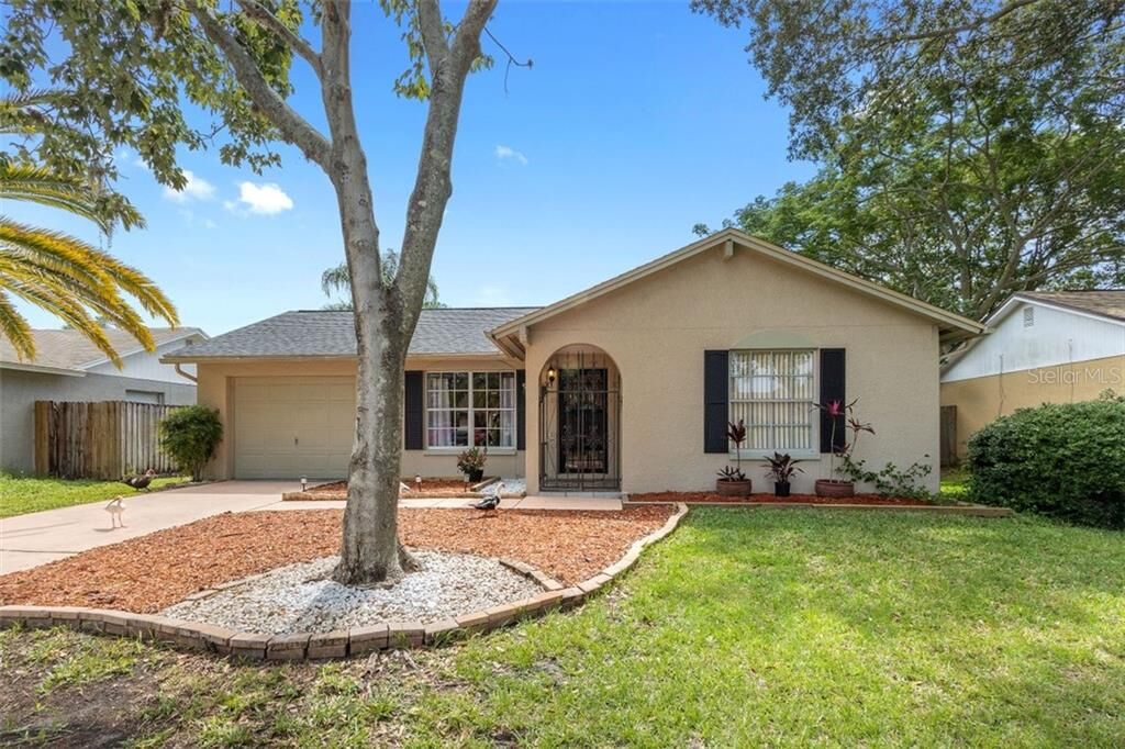 Property Photo:  3642 McCloud Street  FL 34655 