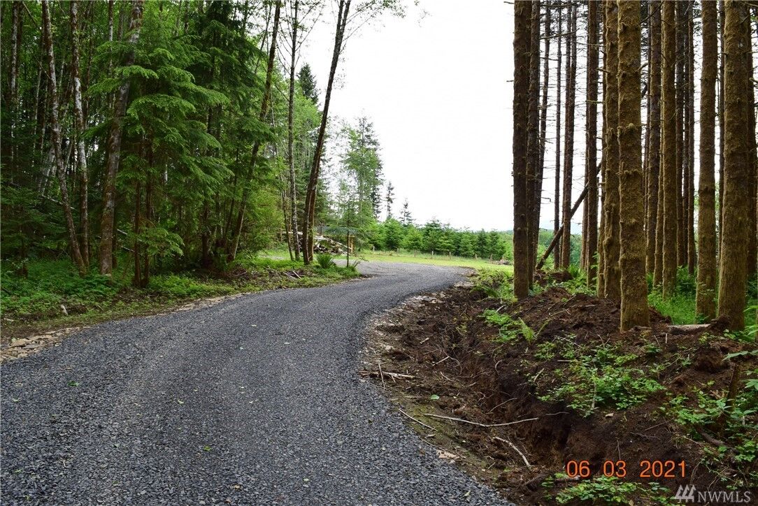 Property Photo:  131 Woodsy Lane  WA 98570 