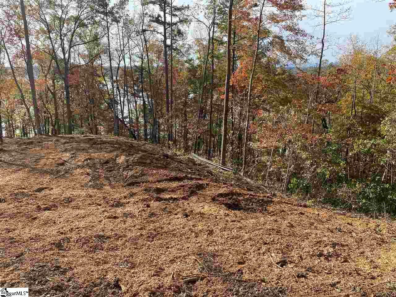 Property Photo:  0 Woodhaven Way Lot 6  SC 29682 