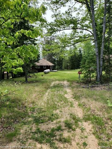 2700 Bliss Lake Road  Mikado Twp MI 48745 photo