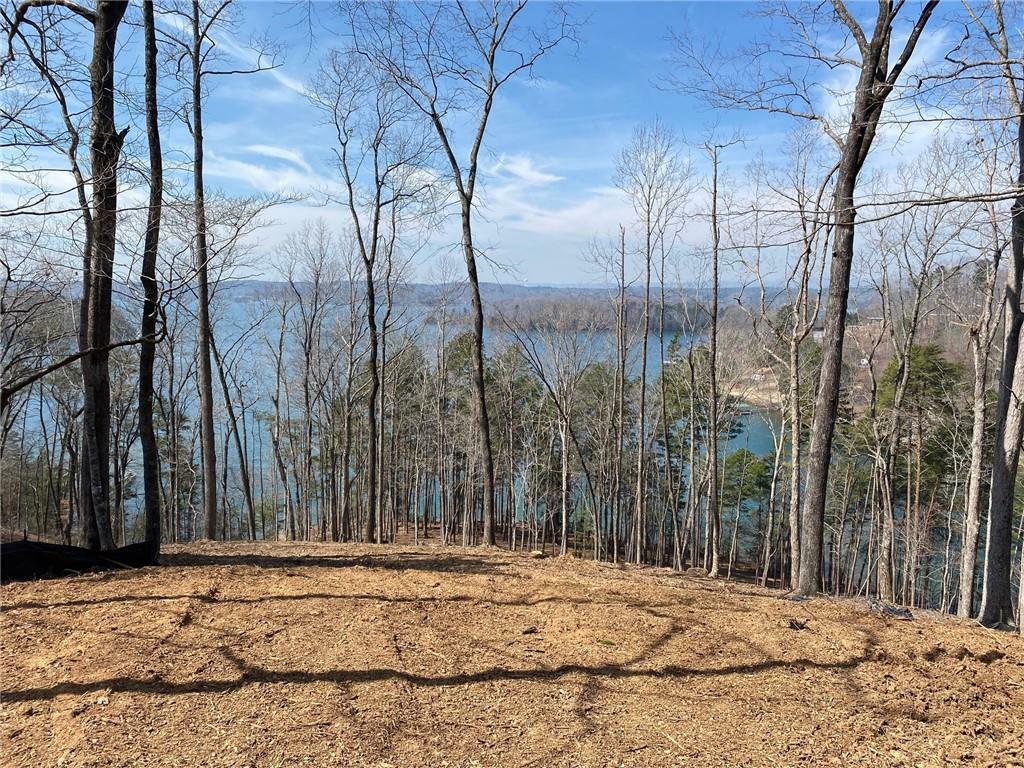 Property Photo:  Lot 5 Woodhaven Way  SC 29682 