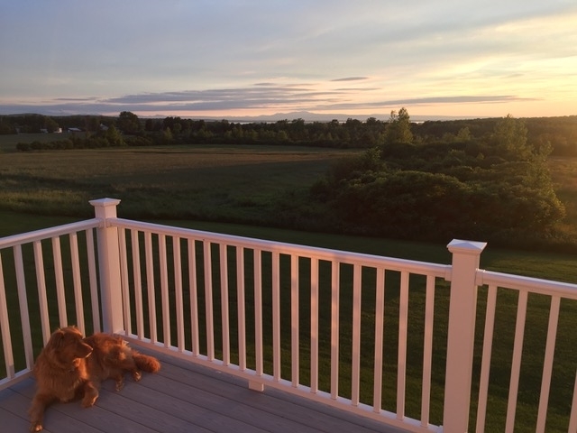 Property Photo: 133 Wilder Drive C VT 05468