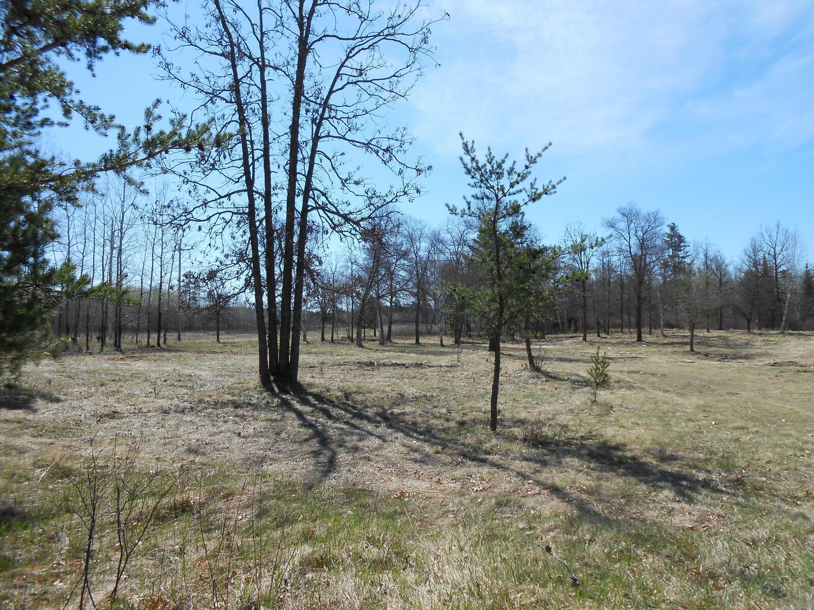 Property Photo:  Tbd Grant Valley Road NW  MN 56601 
