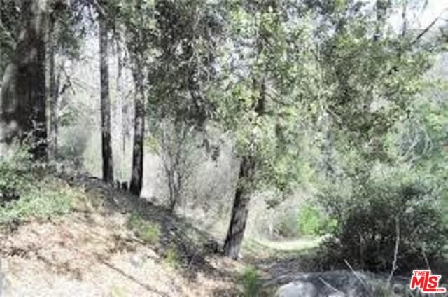 Property Photo:  0 N Burnt Mill Canyon Road  CA 92322 