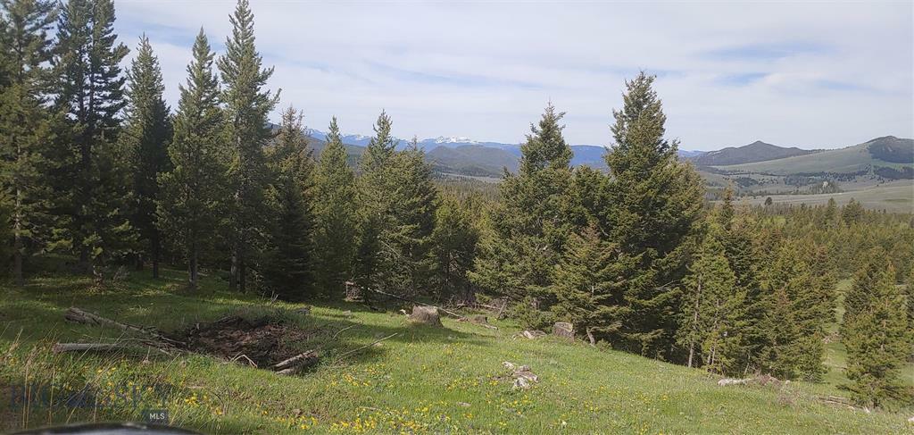 Property Photo:  Tbd Barnard  MT 59701 