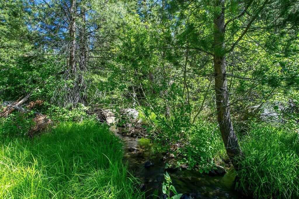 Property Photo:  11606 Euer Valley Road  CA 96161 