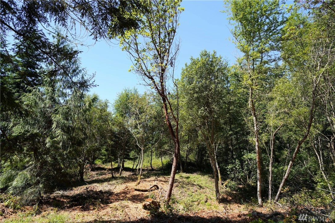 Property Photo:  Block 15 N Jacob Miller Rd  WA 98368 