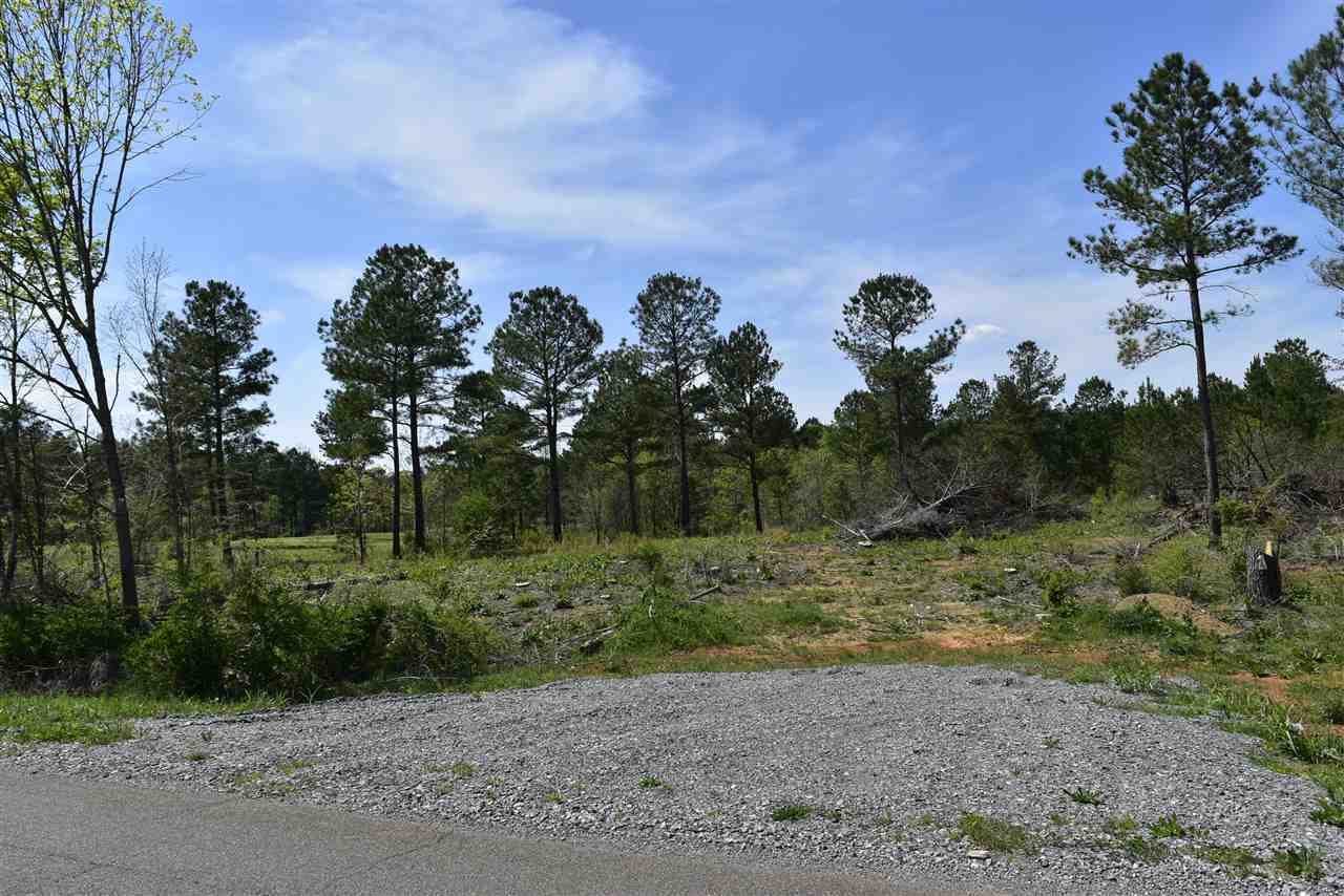 Property Photo: 00 County Road 550 TN 37329