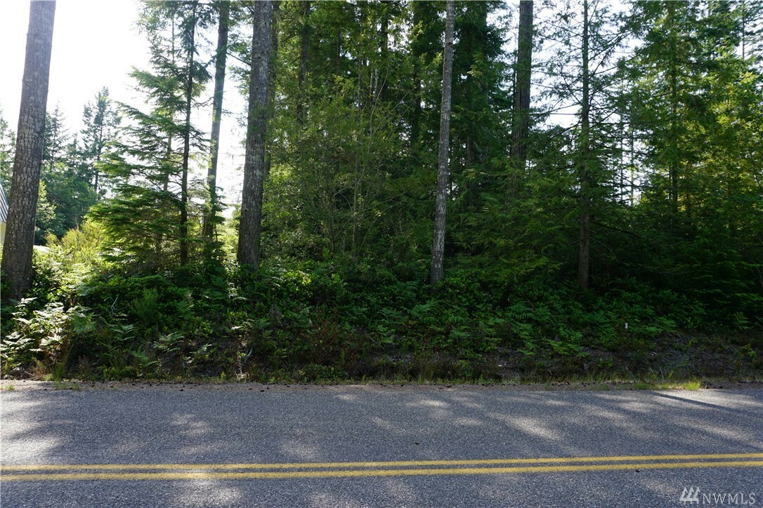 Property Photo:  0 Tahuya Blacksmith Road  WA 98588 