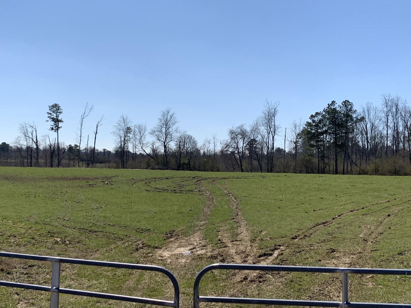 Property Photo:  499 Co Rd 660  AL 35765 
