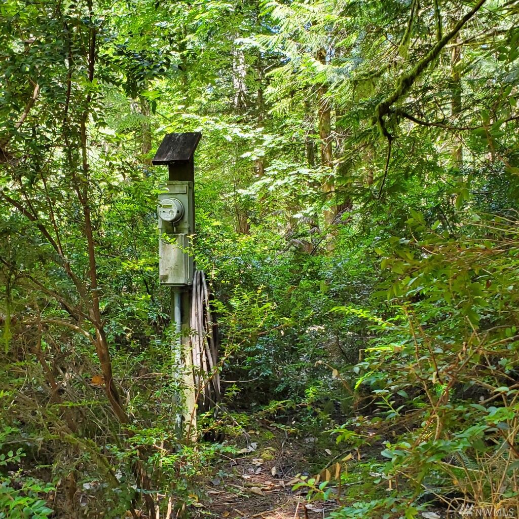 Property Photo:  638 E Pointes Dr W  WA 98584 