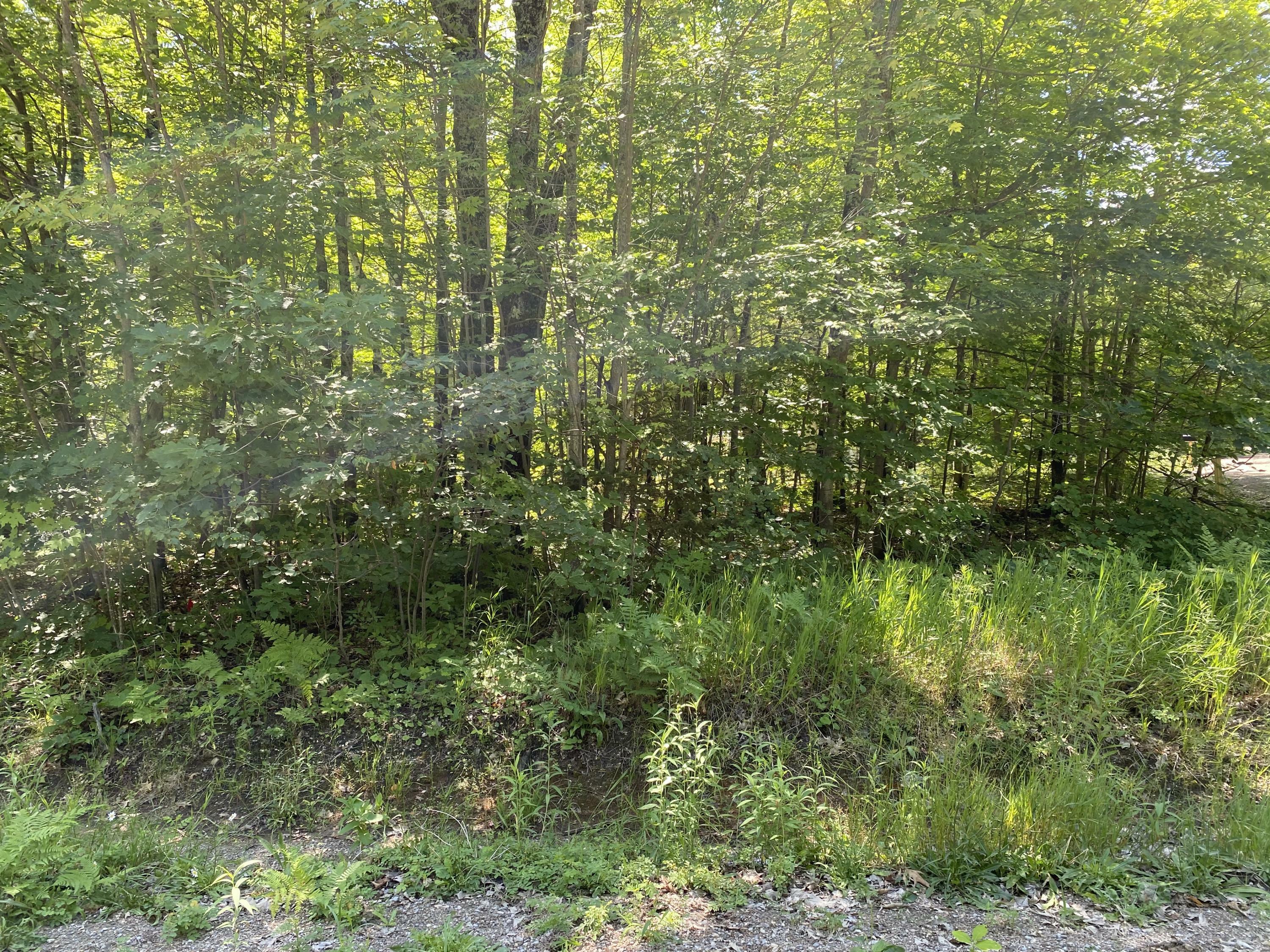 Iverson Trail Lot 52  Indian River MI 49749 photo