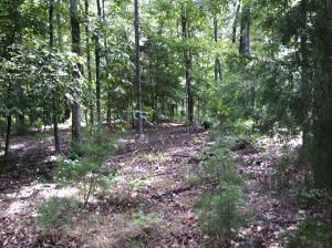 Property Photo:  1380 County Line Rd  GA 30739 