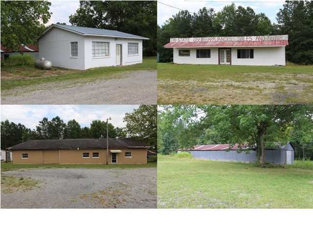 Property Photo: 19104 Alabama Hwy 71 AL 35966