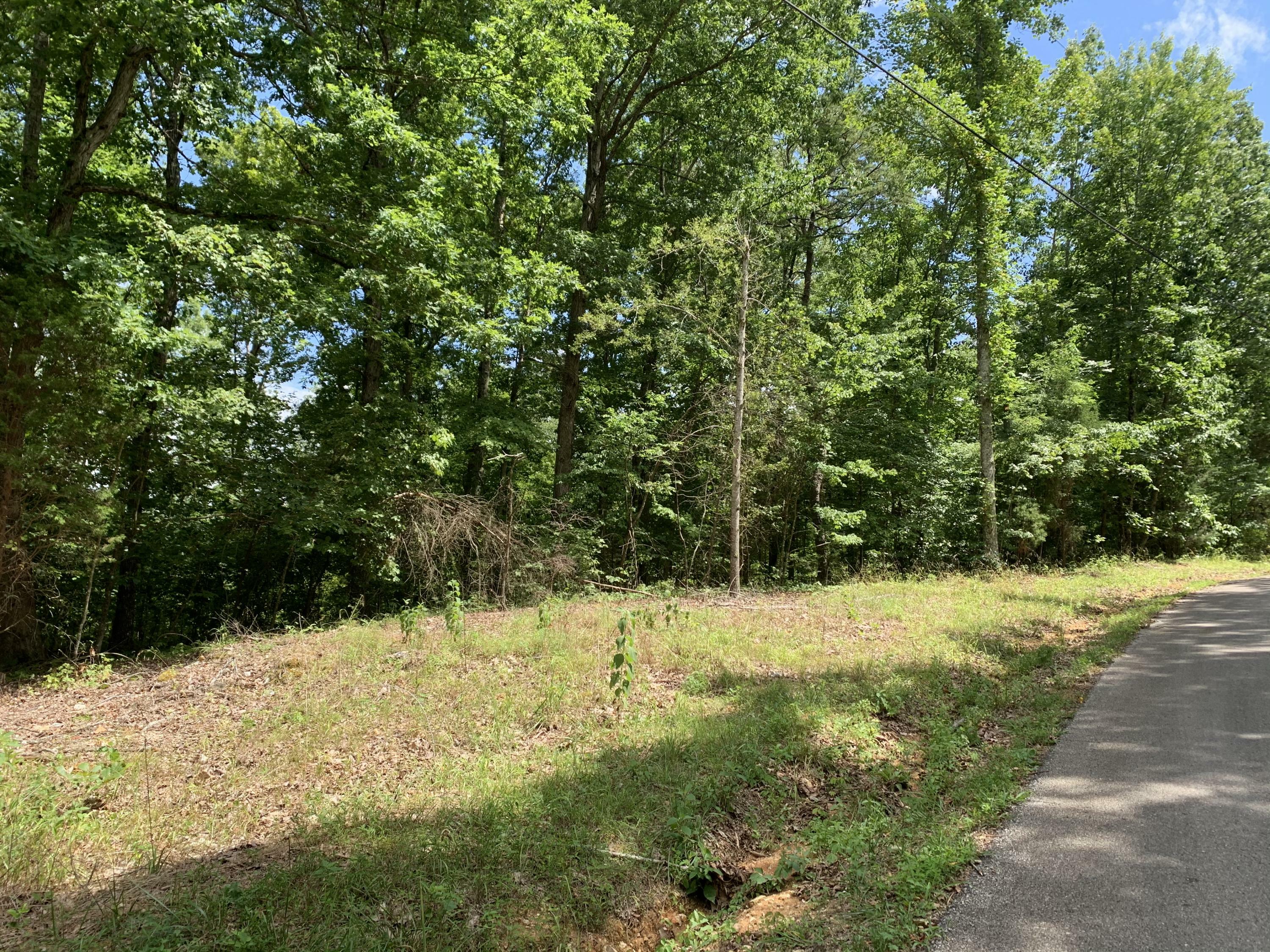 Property Photo:  Lawhon Farm Road  TN 37774 