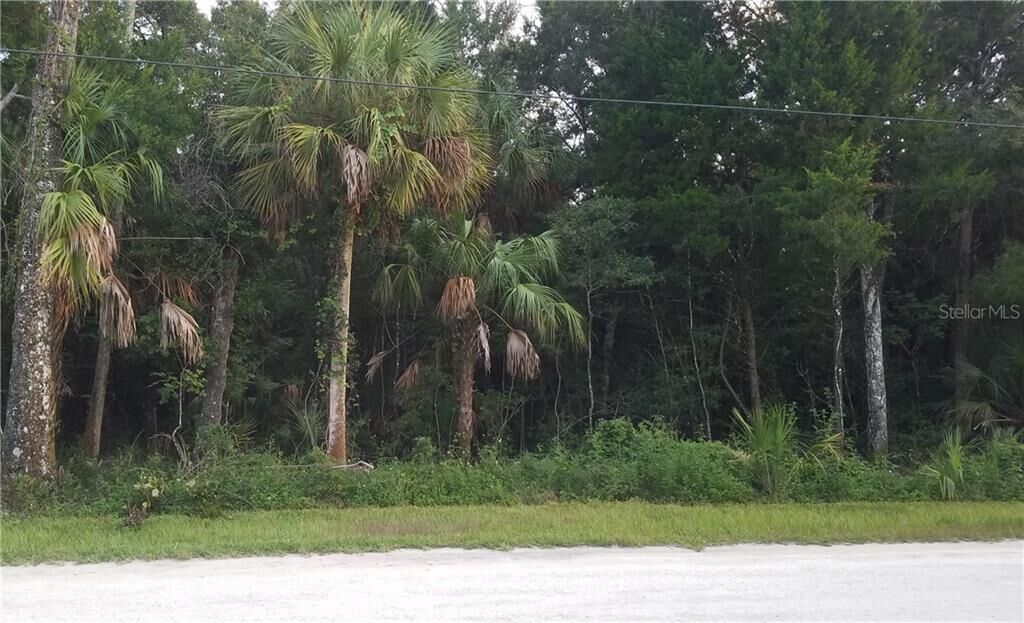 Property Photo:  11054 W Rockhaven Lane  FL 34448 