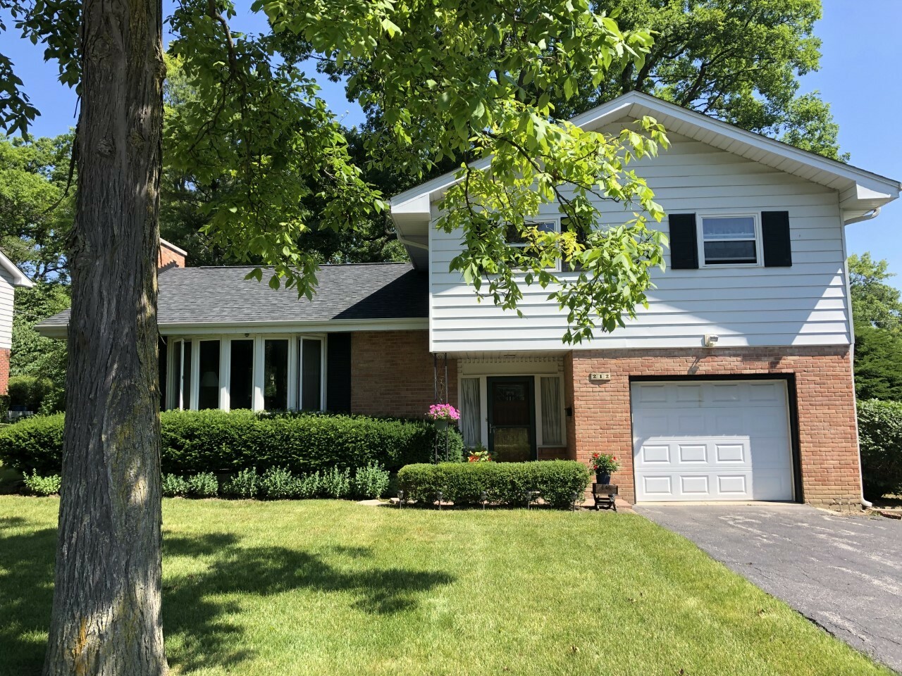 Property Photo:  212 West Scranton Avenue  IL 60044 