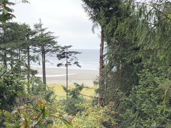 Property Photo:  2 Koala Lane  WA 98571 