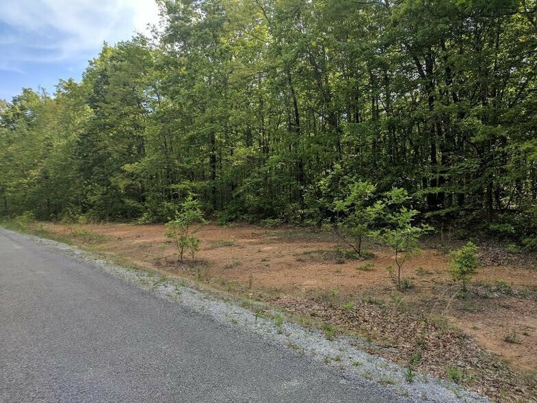 Property Photo:  0 Deer Run Rd Lot 242  TN 37301 