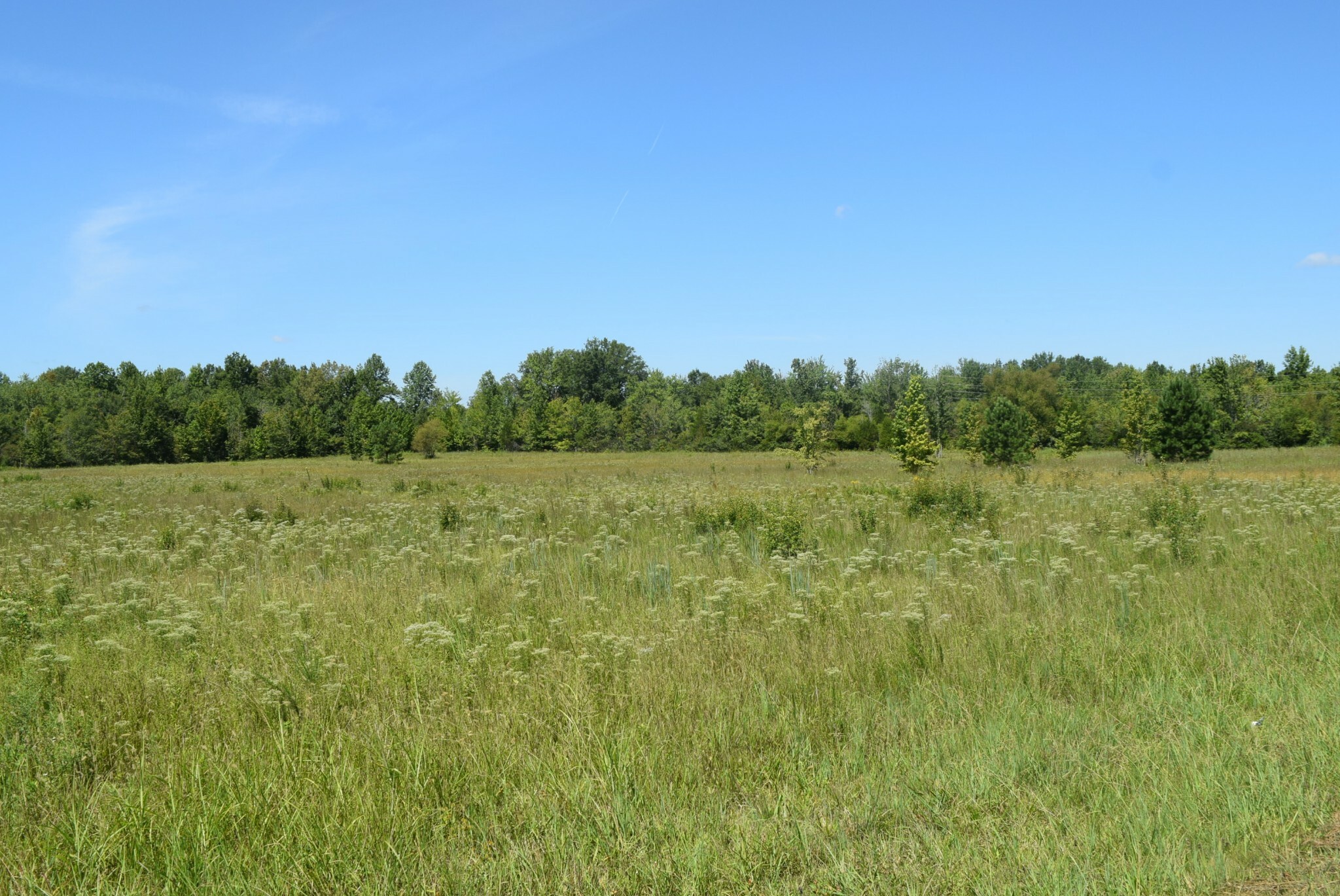 Property Photo:  1 Manchester Hwy  TN 37357 