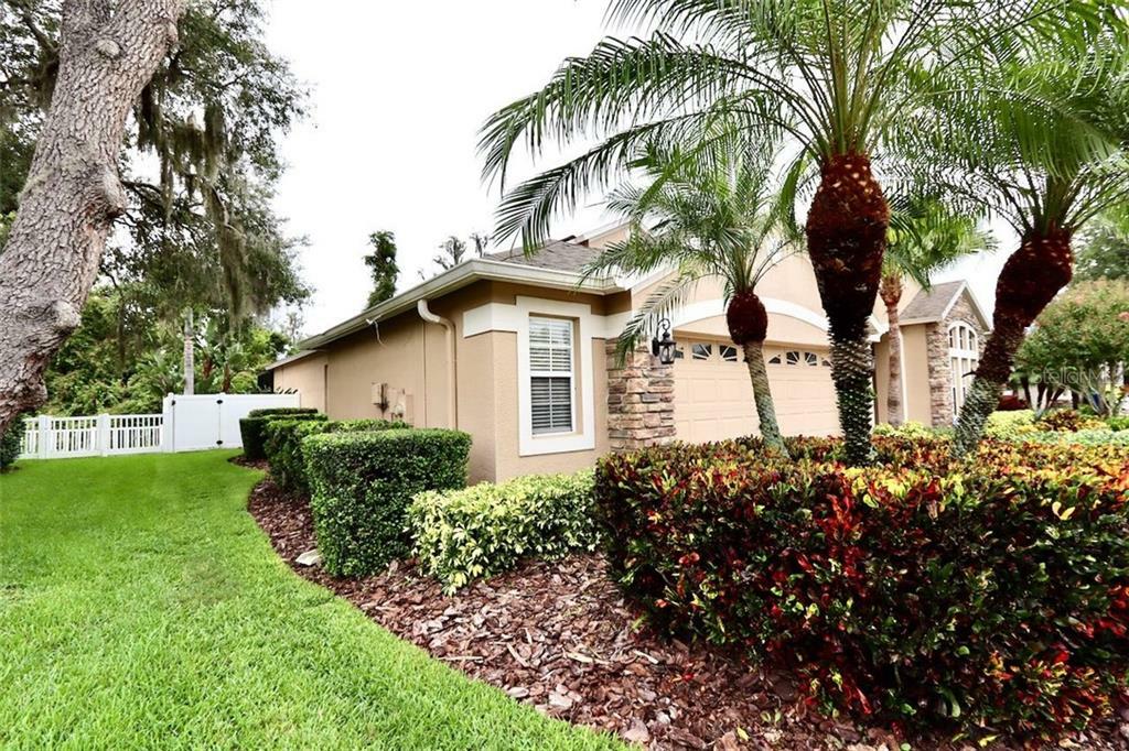 Property Photo:  1541 Tawnyberry Court  FL 34655 