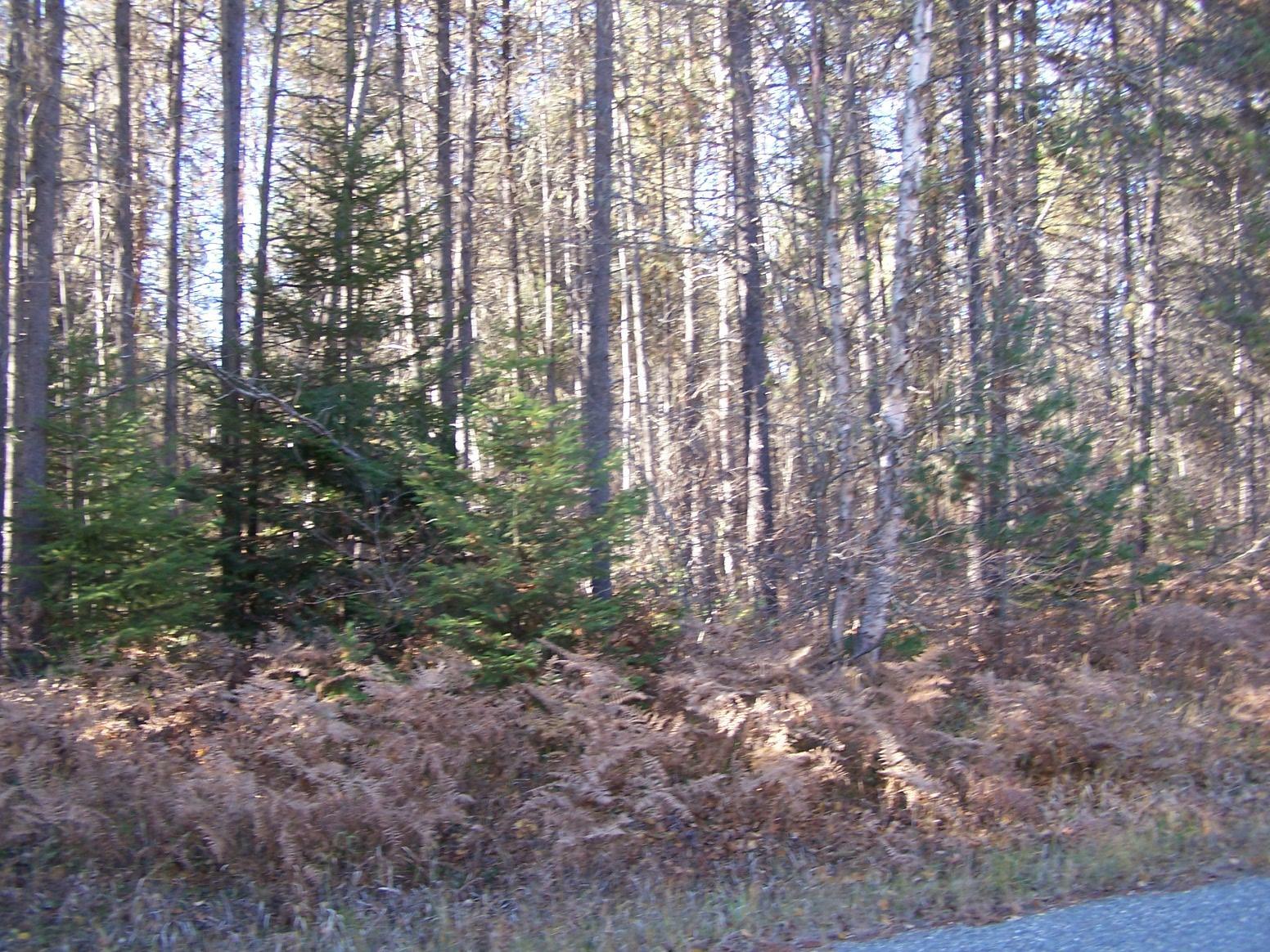 Property Photo:  L34 E Joyner Dr  WA 99119 