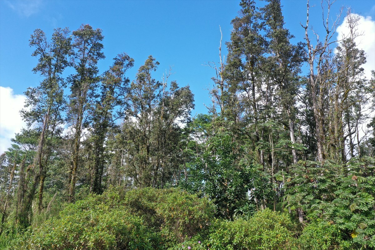 Property Photo:  Gardenia Dr  HI 96778 
