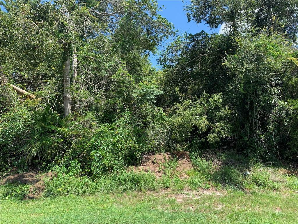 Property Photo:  1846 N Acadian Drive  FL 32725 