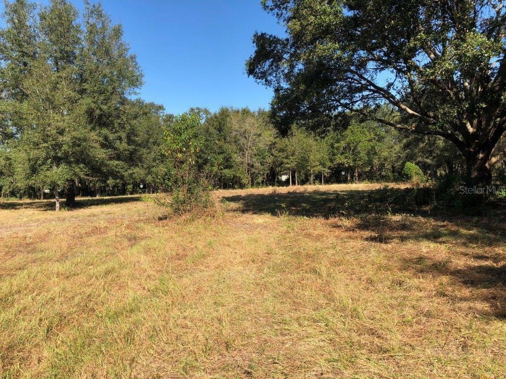 Property Photo:  14621 Salem Church Road  FL 33527 